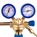 Reductor oxigen doua manometre AI2073