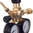 Reductor azot cu doua manometre AI2075