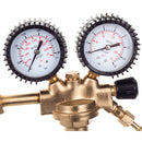 Reductor azot cu doua manometre AI2075