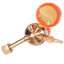 Reductor propan/butan cu manometru AI2079