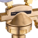 Reductor azot cu doua manometre TECHNIC AI2080 50bar