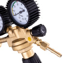 Reductor azot cu doua manometre TECHNIC AI2081 16bar